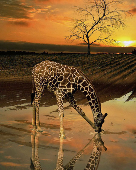 Tanzania Destination